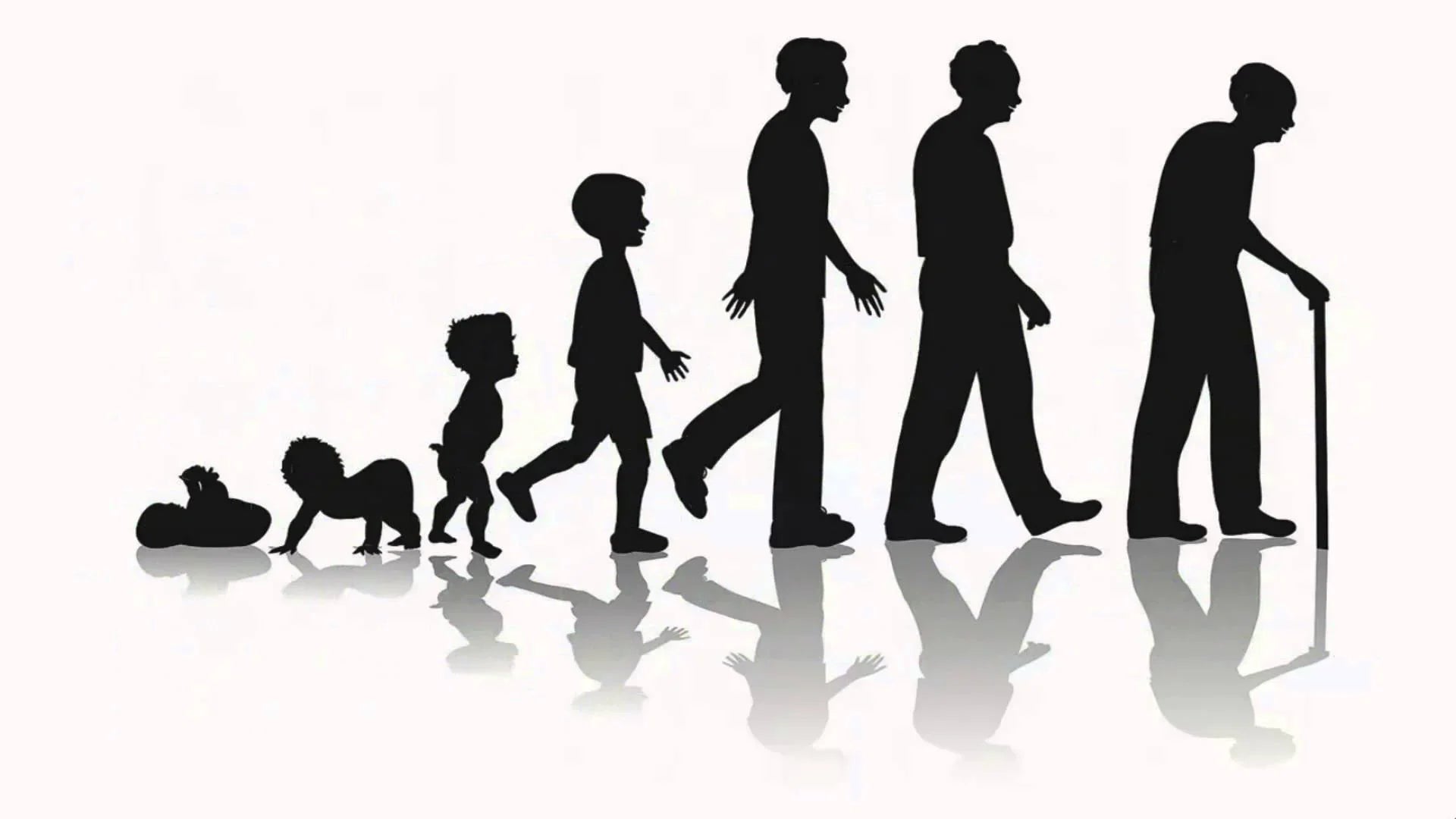 Når bør du begynne å ta NAD⁺? Slik vet du at tiden er inne